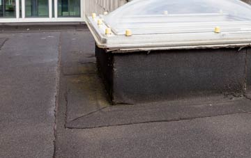disadvantages of Trunch flat roofs