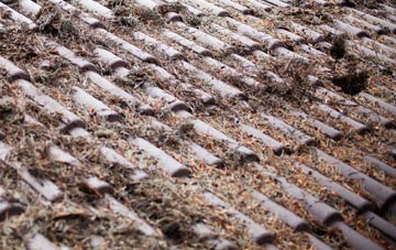 Trunch roof cleaning companies